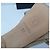 CHANEL 2012 BEIGE SANDALEN MIT KORALLEN-ABSATZ  Gr.37 Gebraucht - Ansicht 7