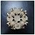 Broche en perles artificielles CHANEL 12P d'occasion - vue 2