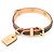 Louis Vuitton Monogram Collier Baxter PM Dog Collar Brown - view 2