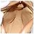 Gucci Borsa a Spalla Micro GG Supreme PVC Beige Oro 001 261 1096 Auth BA11772 D'oro - vista 18