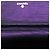 Wallet On Chain Chanel CC Metallic Crackling Lizard Druck Leder Geldbörse mit Kette Lila - Ansicht 4