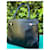 Borsa Max Mara in pelle nera Nero - vista 6