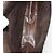 Borsa in pelle Burberrys Celine Dior Saint Laurent 5 pezzi Beige Nero Auth 162602 - vista 6