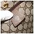 Borsa tote Gucci GG Supreme Web Sherry Line in PVC beige e rosso 02 37 1300 Auth ka3550 - vista 18