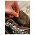 Borsa a mano Sonia Rykiel Bah Marrone in Pelle - vista 6