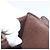 LOUIS VUITTON Cartera Joy Bifold Damier Ebene N60034 LV Auth bs34321 - vista 12