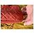 Borsa Chanel Timeless Classic Pelle Corallo Oro Gold hardware - vista 4