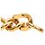 Cambon Chanel Coco Mark goldplattierter Kettengürtel Golden - Ansicht 6
