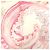 Foulard in seta Hermès Carré 90 Parures Oceaniche Rosa Bianco - vista 6