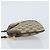 Borsa Sherry Line GG Supreme Web di GUCCI in PVC Beige e Oro 904 02 047 Auth ka3560 D'oro - vista 4