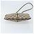 Borsa Sherry Line GG Supreme Web di GUCCI in PVC Beige e Oro 904 02 047 Auth ka3560 D'oro - vista 5