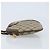 Borsa Sherry Line GG Supreme Web di GUCCI in PVC Beige e Oro 904 02 047 Auth ka3455 D'oro - Ansicht 4
