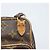 LOUIS VUITTON Borsa a Spalla Mini Amazon Monogram M45238 LV Auth YKZ063 Monogramma - vista 10