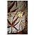 Autre Marque Abrigo MOTEL Palme talla M Beige Coral - vista 8