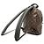Zaino Palm Springs PM Monogram Louis Vuitton Marrone Nero - vista 2