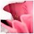 Borsa a Spalla Chanel Boy Chain Rosa - vista 6