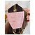Vivienne Louis Vuitton Mini Pochette Accessori – Edizione Limitata Natale 2020 Marrone Rosa - vista 5