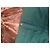 Autre Marque Pantalones Liu Jo de algodón verde Turquesa - vista 9