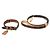 Louis Vuitton Monogram Collar and Leash Set Brown