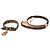 Louis Vuitton Monogram Collar and Leash Set Brown - view 2