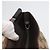 Borsa a Spalla Gucci GG Canvas Web Sherry Line Beige Argento 169937 Auth gh1991 - vista 18