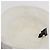 CHANEL COCO Cappello Mark Pile Bianco CC Auth YKZ968A - view 11