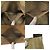 Borsa a Spalla/Tote Prada Vitello Daino BR4711 Marrone - vista 9