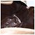 Fendi Borsa a mano in tela Zucchino beige Auth ka3802 - vista 18