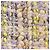 Chanel Kleid Beige - Ansicht 8
