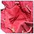 Pochette Canage in Nylon Rosso Oro Auth AMZ069 Christian Dior D'oro - vista 18