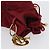 Pochette Canage in Nylon Rosso Oro Auth AMZ069 Christian Dior D'oro - vista 7