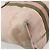 GUCCI GG Canvas Sherry Line Tote Bag Pink Gold Auth AMZ129 Golden - view 17