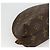 LOUIS VUITTON Pochette Cosmetica Demi Ronde Monogram M47520 LV Auth BA11983 Monogramma - vista 16