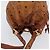 Borsa a corda Vicetos Logogram MCM in pelle PVC marrone e oro Auth AMZ492 D'oro - vista 6