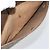 Borsa Sherry Line GG Supreme Web di GUCCI in PVC beige e oro 39 02 026 Auth ka3770 D'oro - vista 11