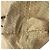 Sac fourre-tout Fendi Zucchino Beige - vue 16