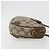 Borsa Sherry Line GG Supreme Web di GUCCI in PVC beige e oro 89 02 066 Auth BA12034 D'oro - vista 4
