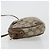 Borsa Sherry Line GG Supreme Web di GUCCI in PVC beige e oro 89 02 066 Auth BA12034 D'oro - vista 5