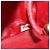 Borsa a Spalla V Stitch CHANEL in Pelle di Agnello Oro Rosso CC Auth mr2345 D'oro - vista 24