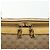 Gucci Borsa a mano Micro GG Supreme PVC 2 vie Beige Oro 002 58 0033 Auth 175355 D'oro - vista 16
