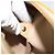 LOUIS VUITTON Borsa a Mano Monogram Vernis Bedford Beige M91006 LV Auth YKZ1306 - vista 19
