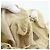 PRADA Backpack Nylon Ivory Silver Auth 175828 Silvery Cream - view 22