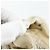 PRADA Backpack Nylon Ivory Silver Auth 175828 Silvery Cream - view 23