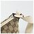Borsa a Spalla GG Canvas Gucci Beige Argento 145857 Auth BA12133 - vista 16