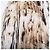 Vestido Maxi de Seda Impresa Roberto Cavalli Beige - vista 5