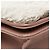 Borsa a spalla con catena Chanel Coco Mark Wallet Marrone Rosa - vista 5