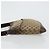 Borsa a Spalla GG Canvas Gucci Beige Argento 145857 Auth 176602 - vista 5