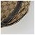 Borsa a Spalla GG Canvas Gucci Beige Oro 203257 Auth ka3983 D'oro - vista 12