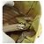 PRADA Borsa a mano in nylon beige argento autentica ti3872 - vista 22