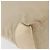 Borsa a Spalla PRADA Nylon Beige Argento Autentica ka4019 - vista 15